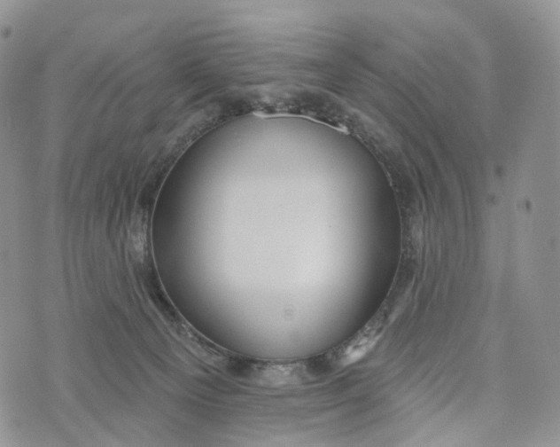 X0000072940129200608111610