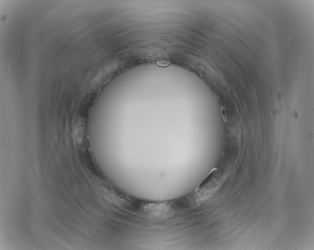 X0000072940133200608111610