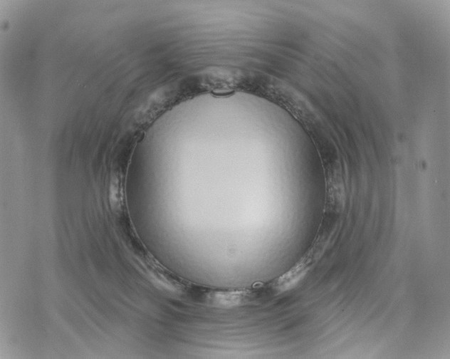 X0000072940134200608111610