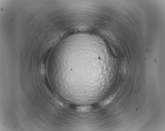 X0000072940135200608111610