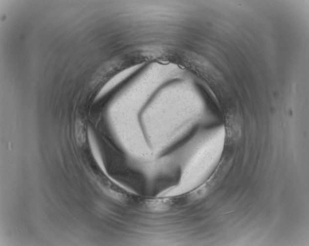 X0000072940136200608111610