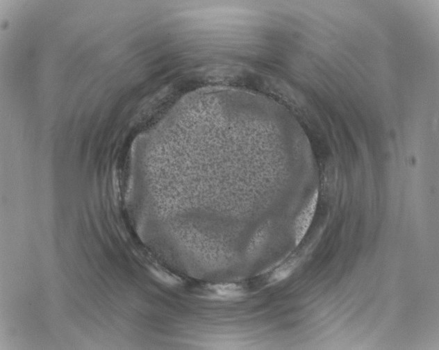 X0000072940137200608111610