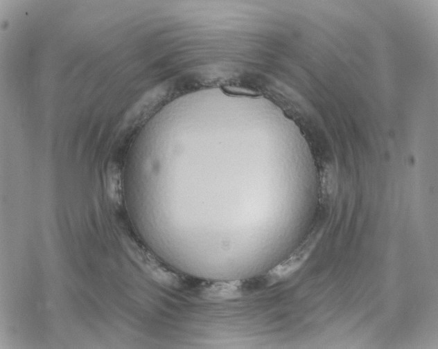 X0000072940138200608111610