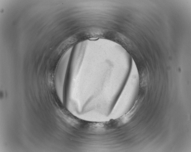 X0000072940140200608111610