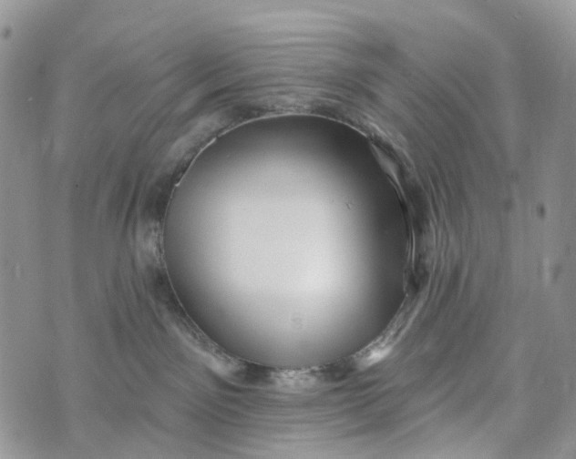 X0000072940141200608111610