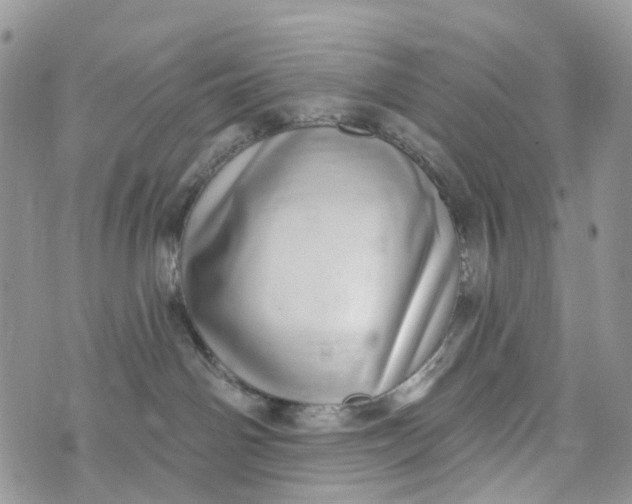 X0000072940142200608111610