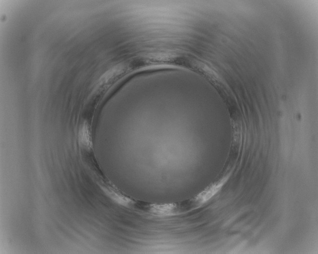 X0000072940143200608111610