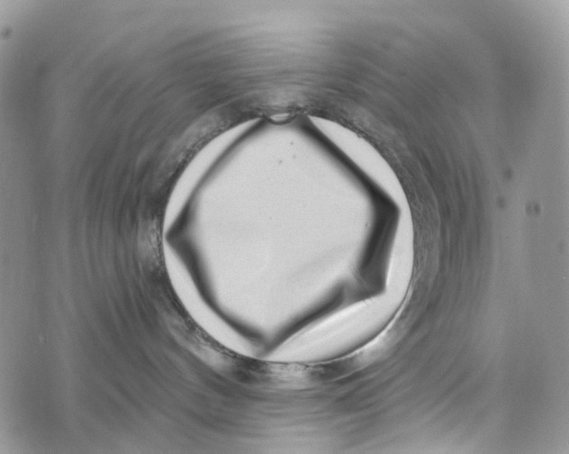 X0000072940144200608111610