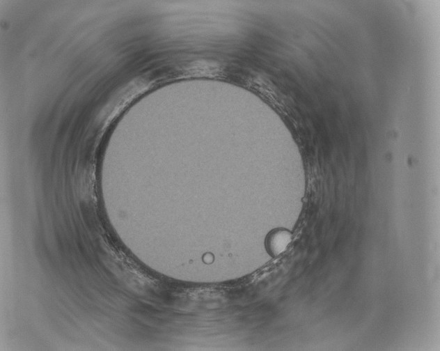 X0000072940146200608111609