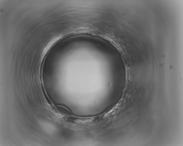 X0000072940147200608111609