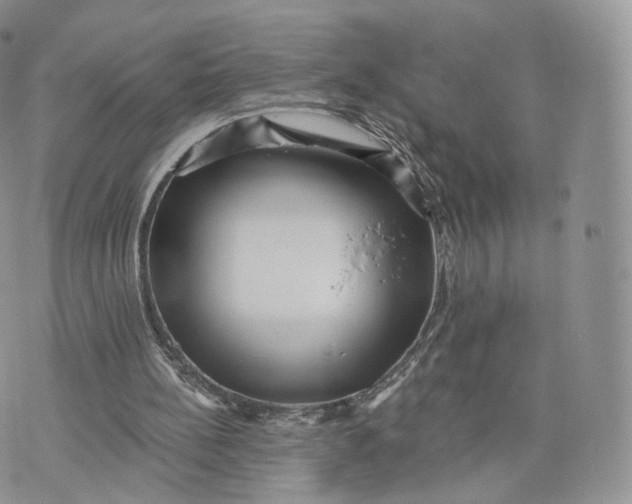 X0000072940148200608111609