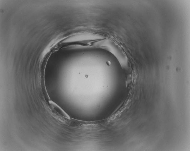 X0000072940150200608111609