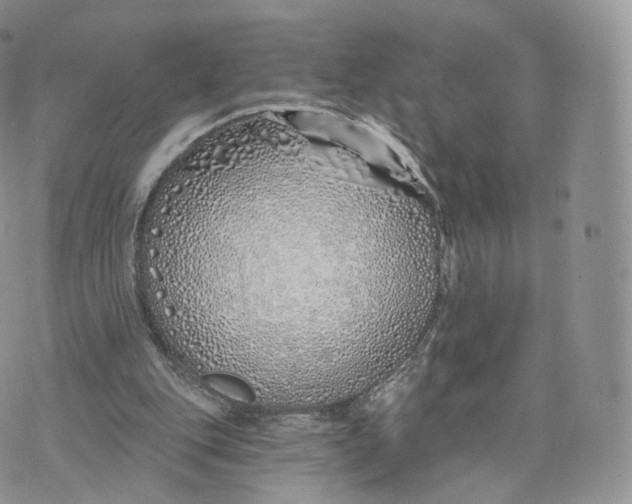 X0000072940151200608111609