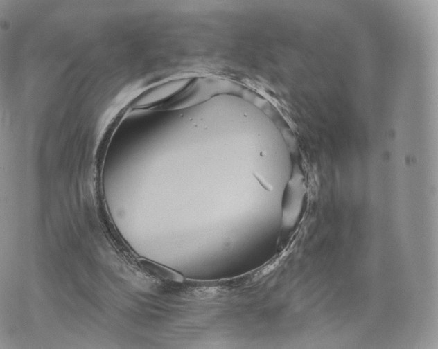 X0000072940152200608111609