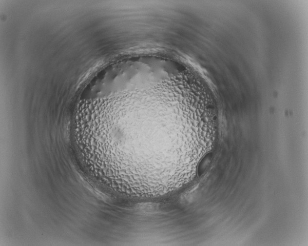 X0000072940153200608111609