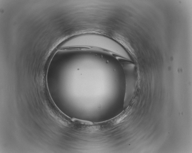 X0000072940156200608111609