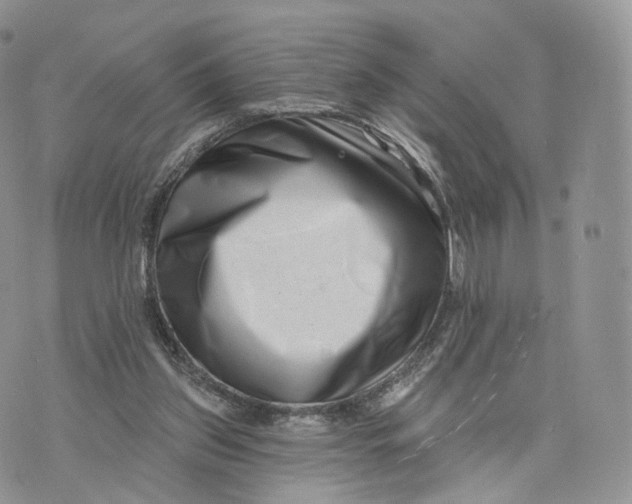 X0000072940157200608111609