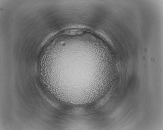 X0000072940159200608111609