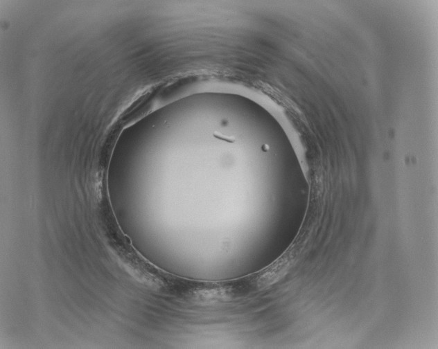 X0000072940160200608111609