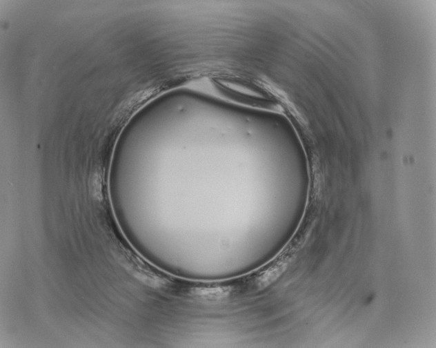 X0000072940161200608111609