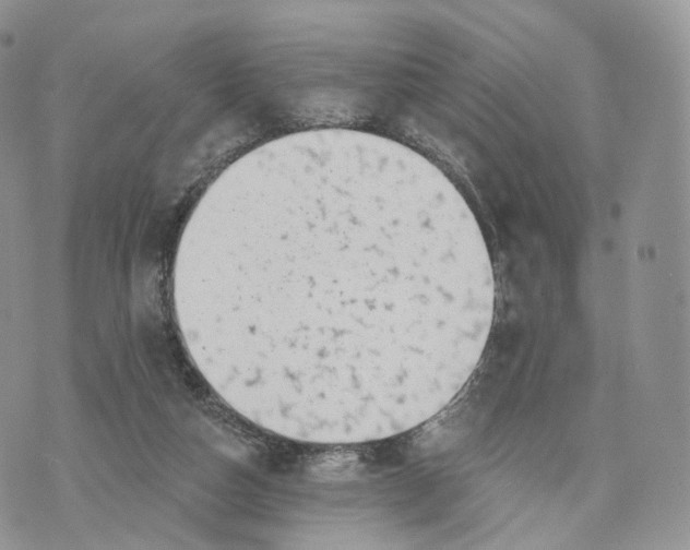 X0000072940162200608111609