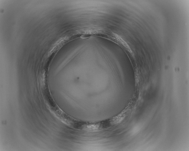 X0000072940163200608111609