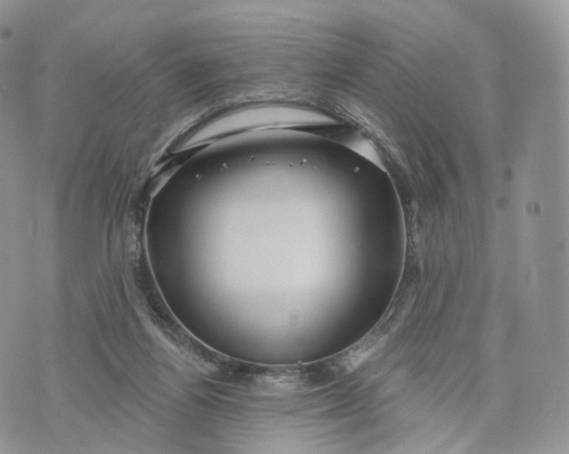 X0000072940164200608111609