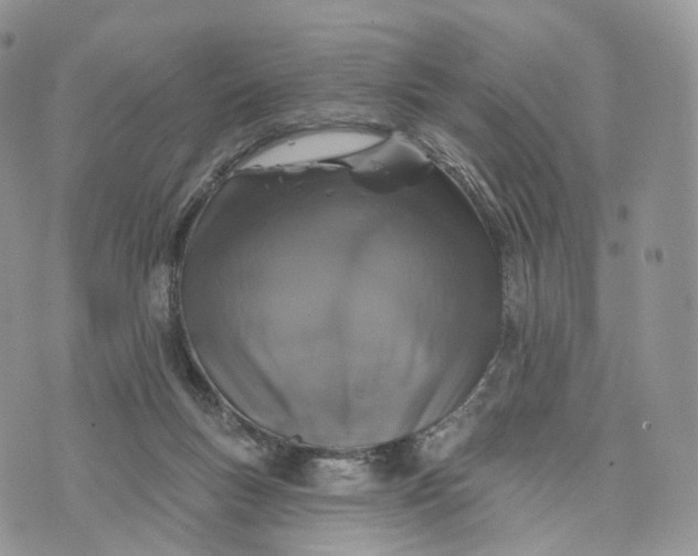 X0000072940167200608111609