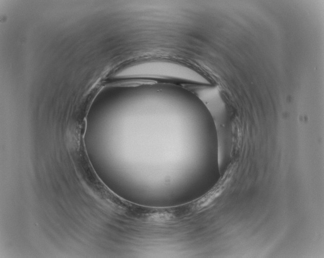 X0000072940168200608111609