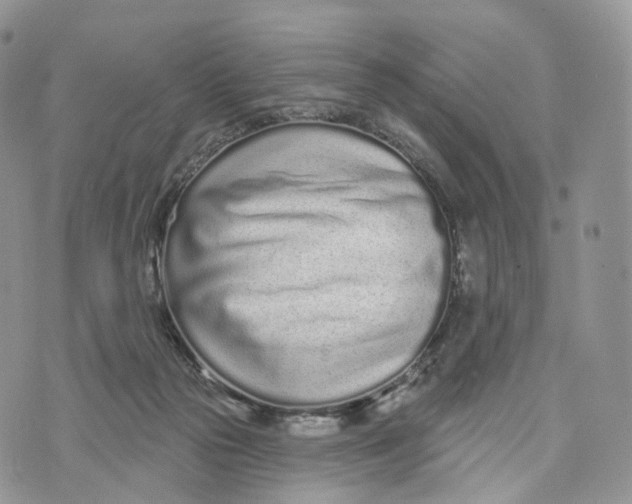 X0000072940169200608111609