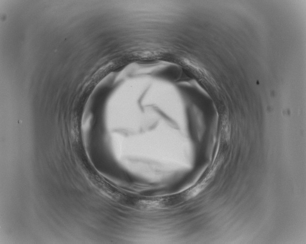 X0000072940170200608111609