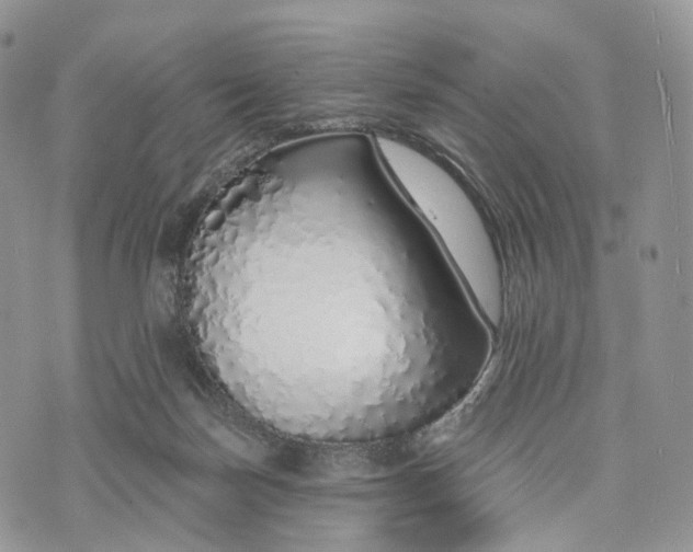 X0000072940171200608111609