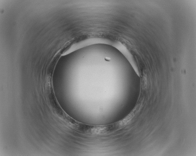 X0000072940172200608111609