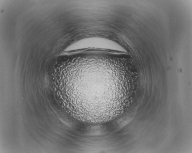 X0000072940173200608111609