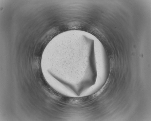 X0000072940174200608111609