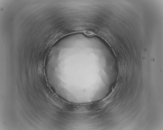 X0000072940175200608111609