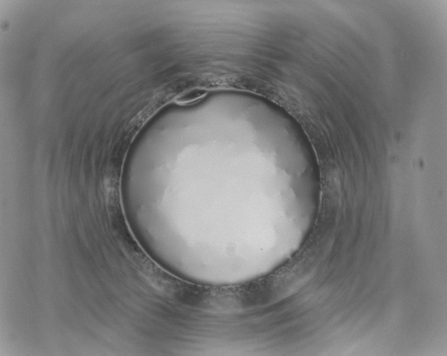 X0000072940177200608111609