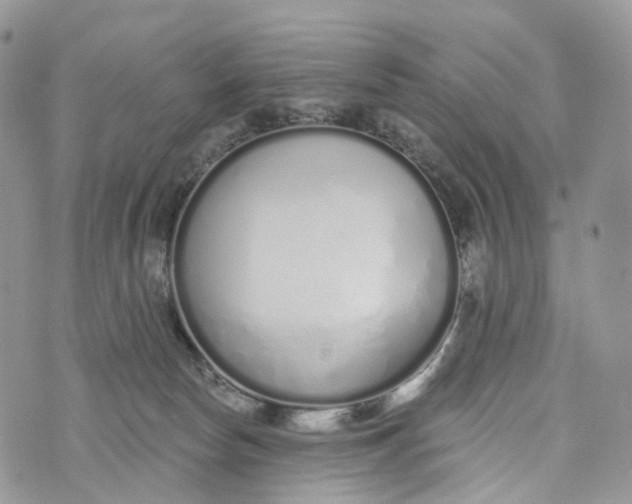 X0000072940178200608111609