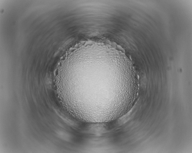 X0000072940179200608111609