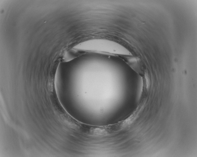 X0000072940180200608111609