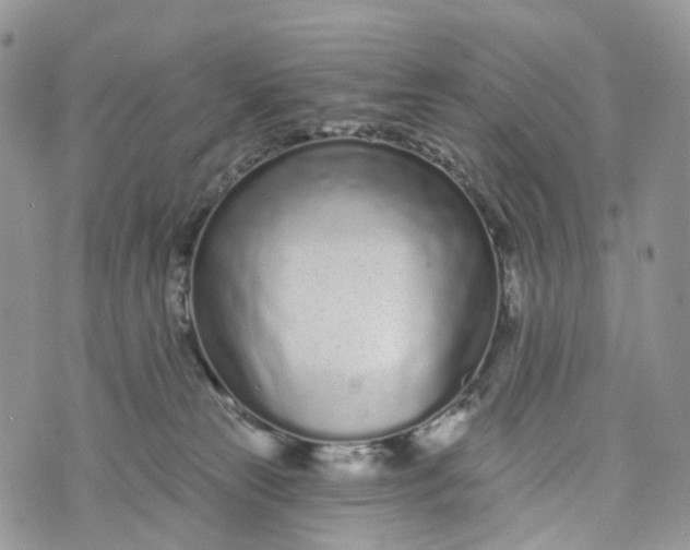 X0000072940181200608111609