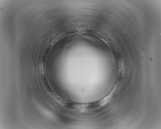 X0000072940182200608111609