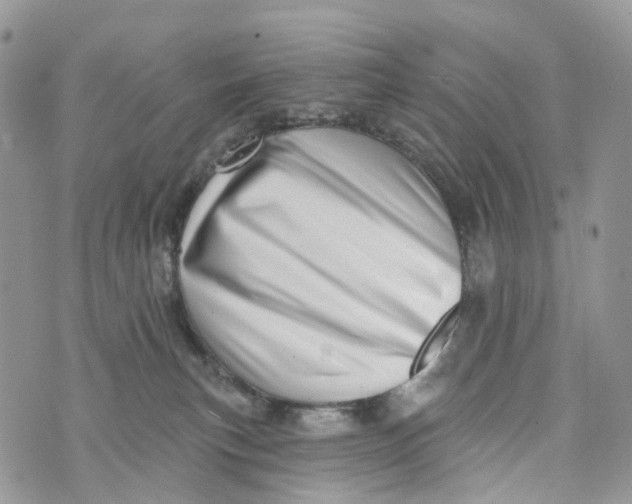 X0000072940183200608111610