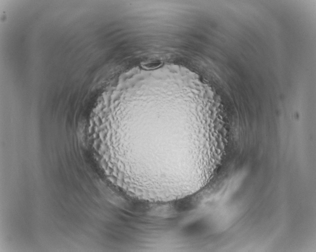 X0000072940185200608111610