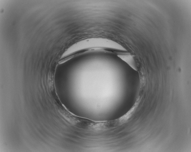 X0000072940186200608111610