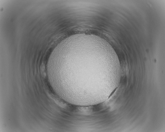 X0000072940187200608111610