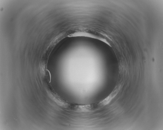 X0000072940188200608111610