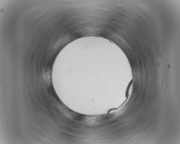 X0000072940190200608111610