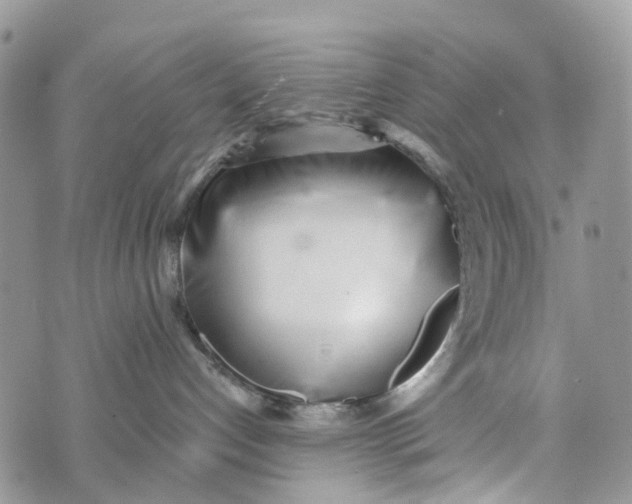 X0000072940192200608111610