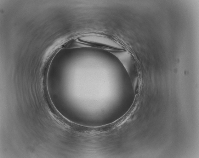 X0000072940197200608111609